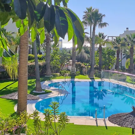 Noctua Flamingos 027 *