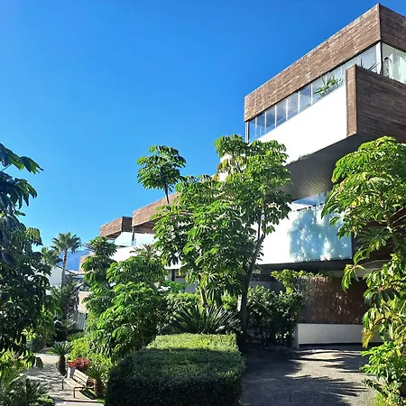 Noctua Flamingos 027 إِستيبونا