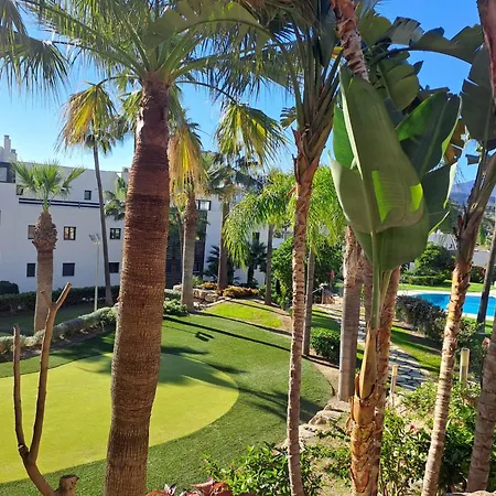 Noctua Flamingos 027 إِستيبونا