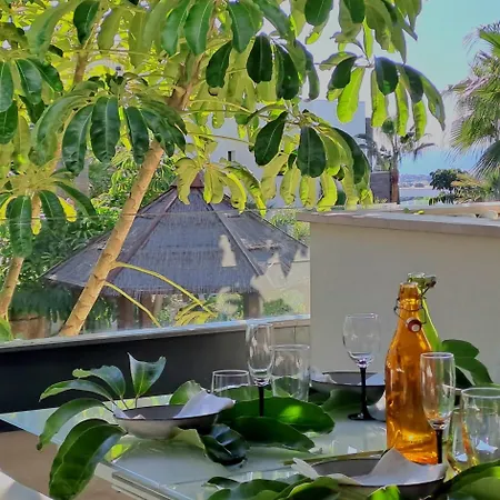 Noctua Flamingos 027 * إِستيبونا